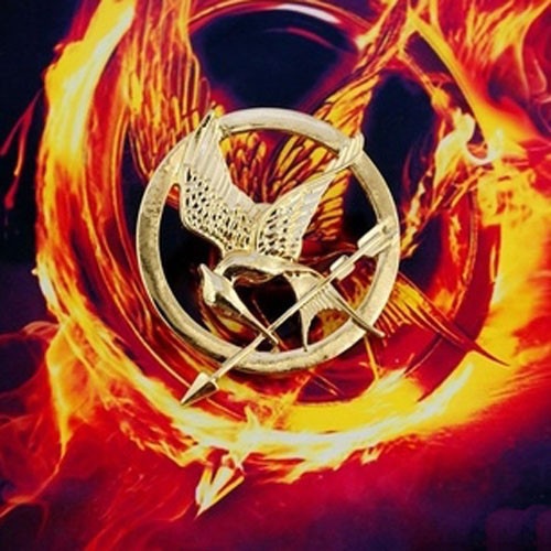 Party Games Popular - Fashion Popular The Hunger Games Birds